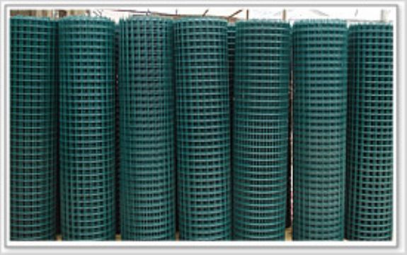 Welded Wire Mesh 